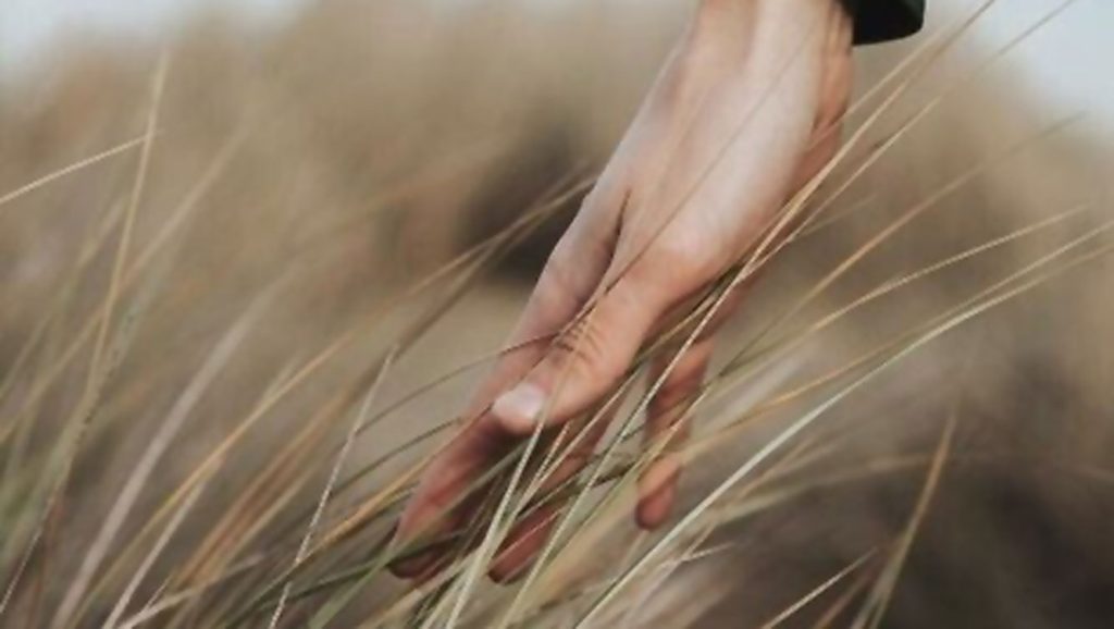 Arthritis - Männerhand im Feld