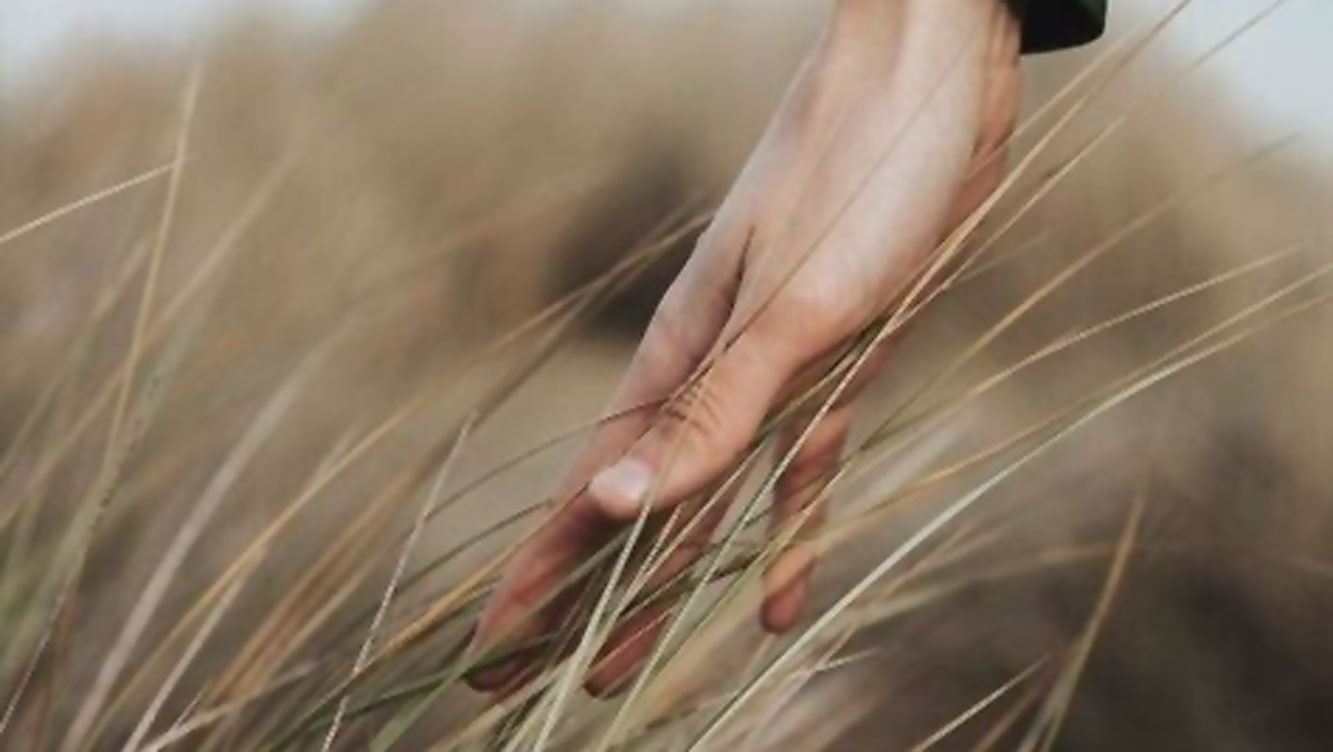 Arthritis - Männerhand im Feld