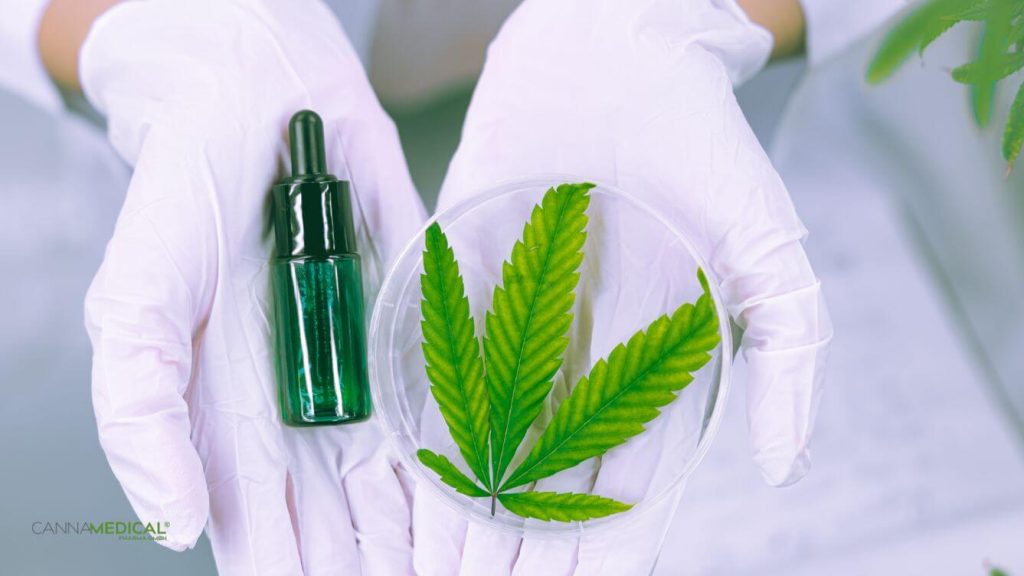 Cannabisöl gegen Schmerzen titelbild (1337 x 752 px)