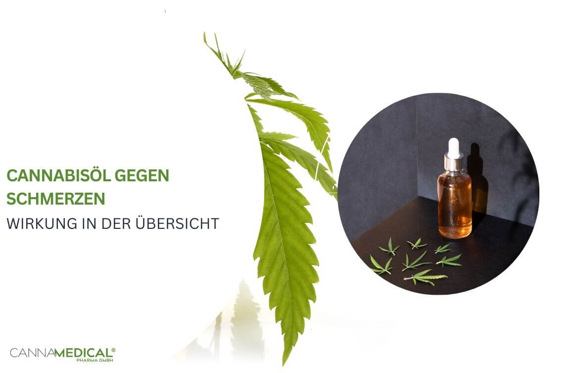 Cannabisöl gegen Schmerzen wirkung