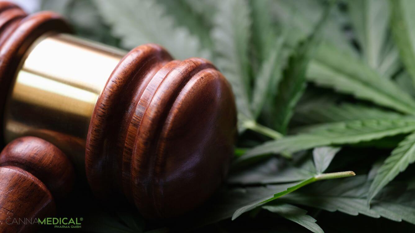 Hanfblätter mit Richterhammer