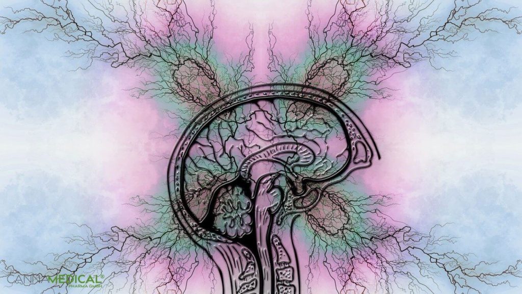 Gehirn Querschnitt psychedelischer Hintergrund