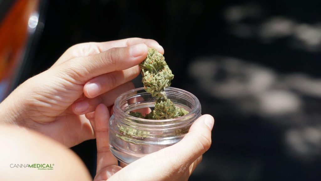 beste cannabis sorte für gute laune titelbild