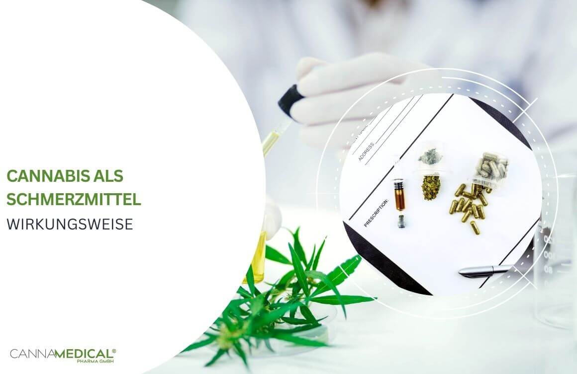 cannabis als schmerzmittel wirkung