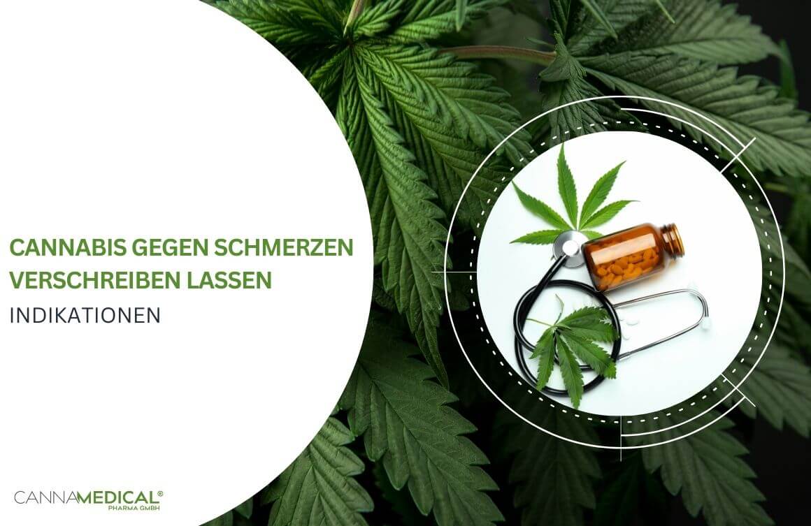 cannabis gegen schmerzen verschreiben lassen indikationen