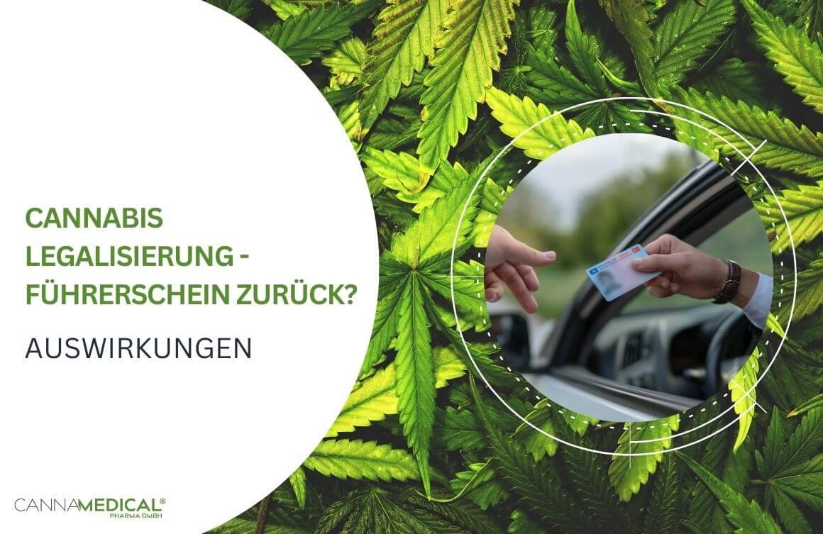 Fahrer zeigt Führerschein mit Cannabisblätter