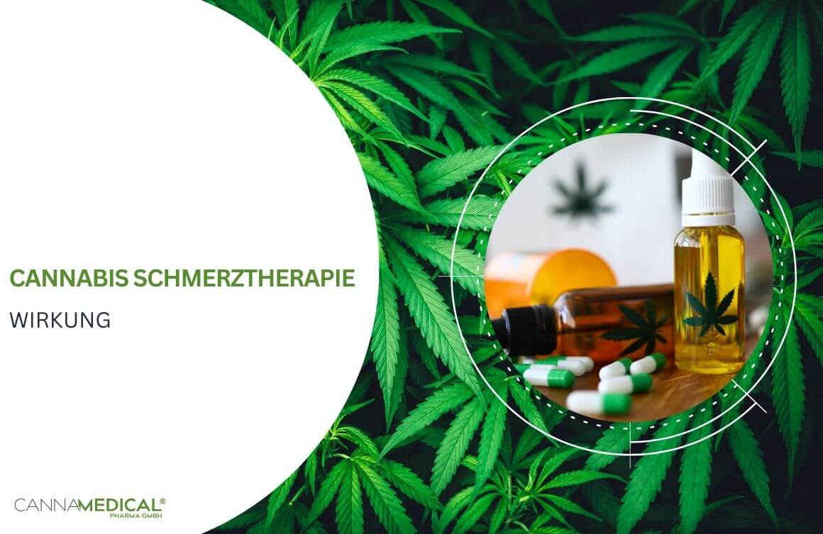 cannabis schmerztherapie wirkung