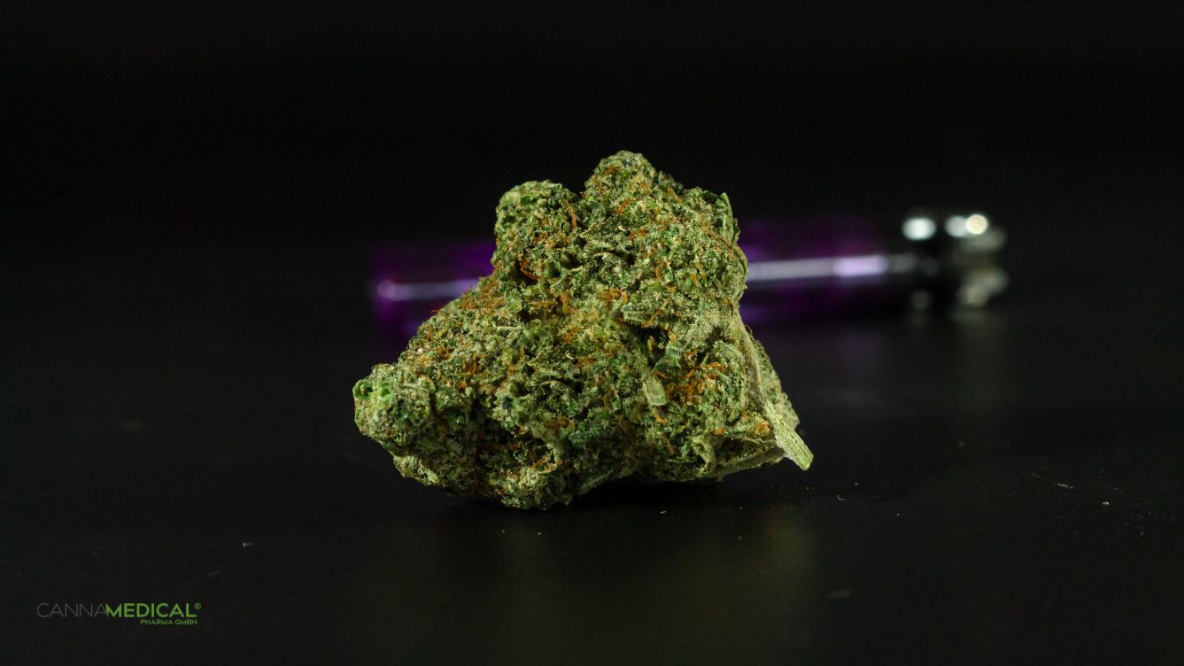 cannabis sorten titelbild