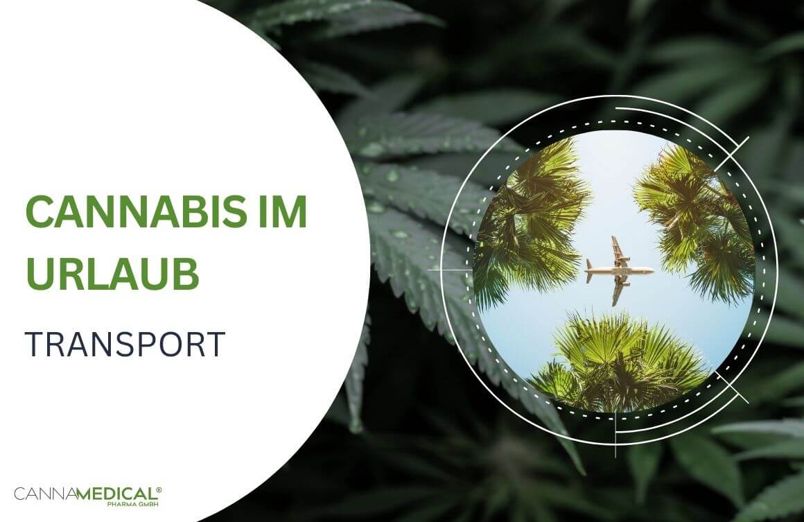 Cannabisblätter mit Flugzeug