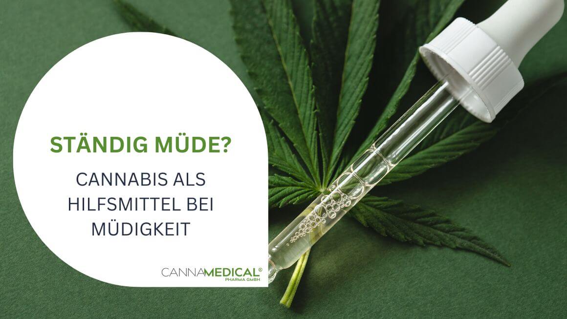 ständig müde cannabis