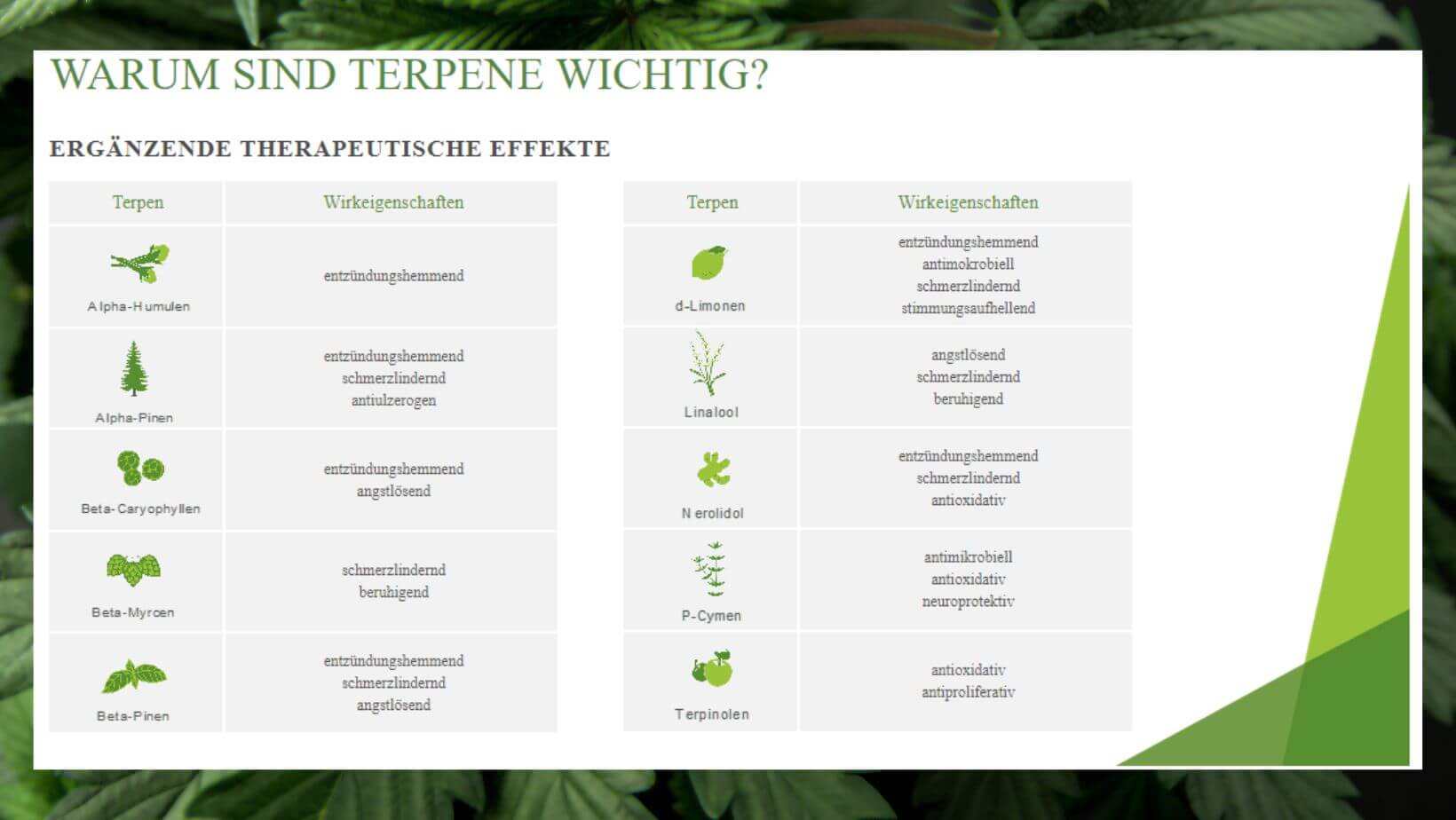 Terpene Wirkung Effekte Grafik