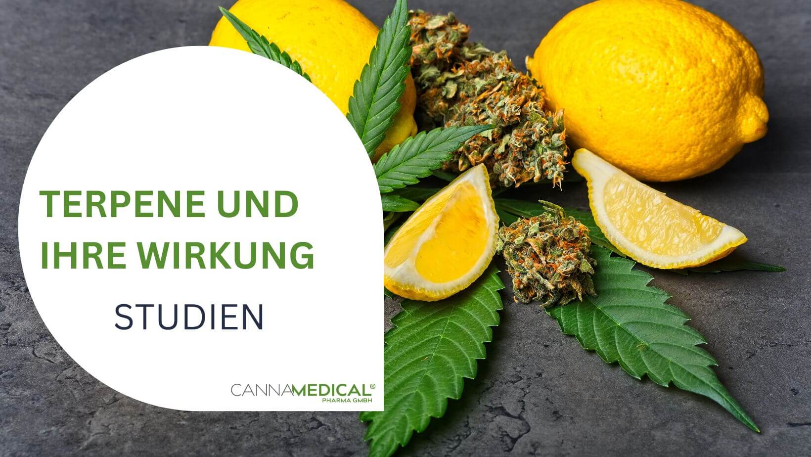 Cannabsiblüte und Zitrone