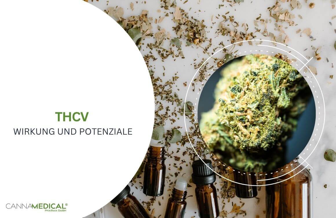 thcv wirkung potenziale