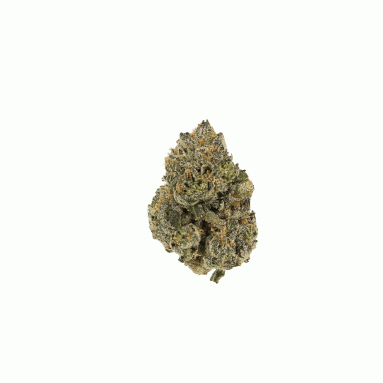 CM Craft