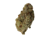 Black Cherry Punch - Rueckseite